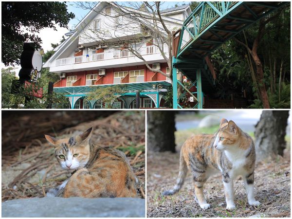 樂活通霄慢漫遊,白色戀人,鹽來館