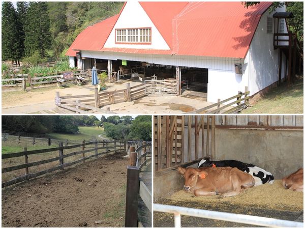 樂活通霄慢漫遊,白色戀人,鹽來館