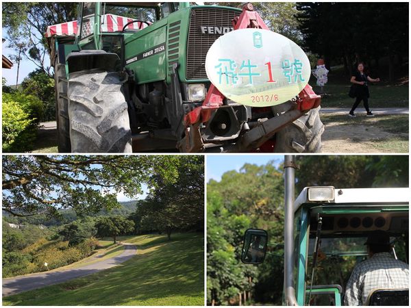 樂活通霄慢漫遊,白色戀人,鹽來館