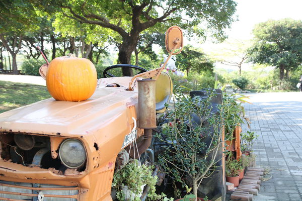 樂活通霄慢漫遊,白色戀人,鹽來館