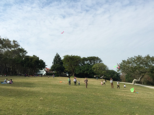 飛牛牧場:【苗栗景點】飛牛牧場之會飛的牛比較厲害?