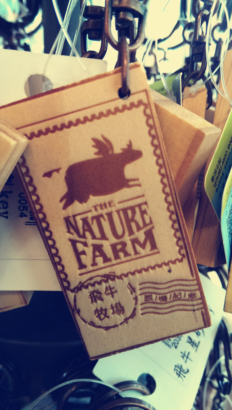 飛牛牧場:【苗栗景點】飛牛牧場之會飛的牛比較厲害?