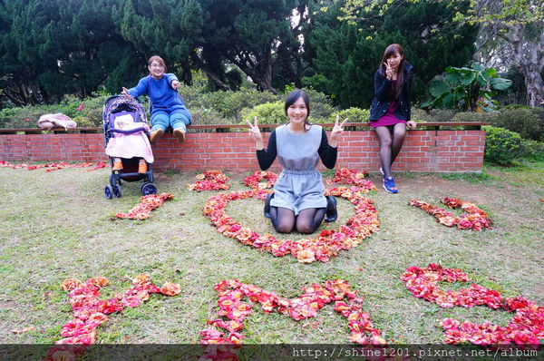 陽明山賞花景點-陽明山試驗花卉中心