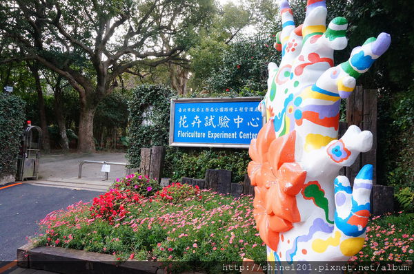 【陽明山餐廳】山頂餐廳 陽明山景觀下午茶餐廳