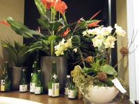 紅彩壽司(SOGO天母店)：彩虹般的壽司──紅彩壽司