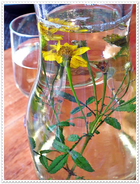 納美花園,陽明山,無菜單料理,蔬食料理,素菜