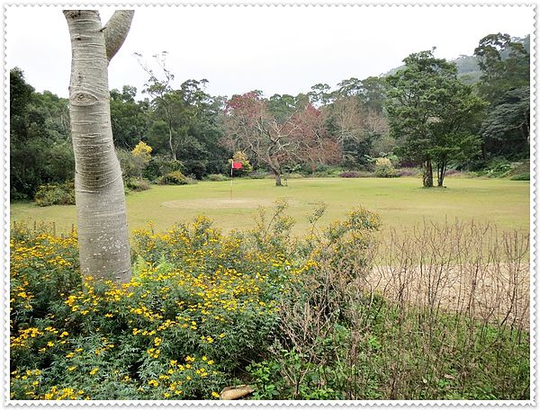 納美花園,陽明山,無菜單料理,蔬食料理,素菜