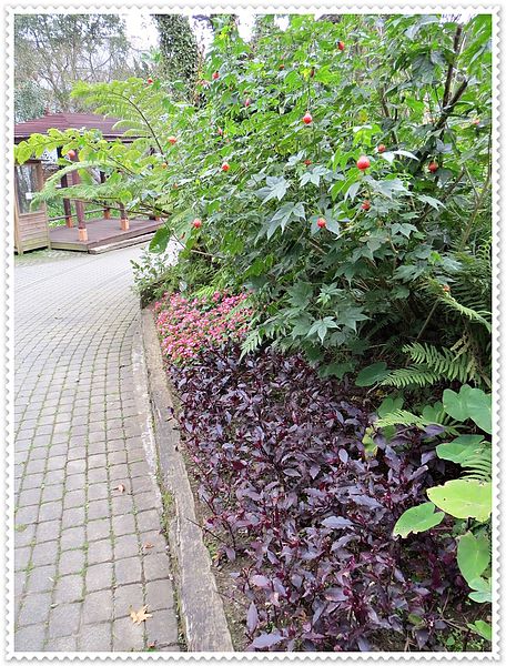 納美花園,陽明山,無菜單料理,蔬食料理,素菜