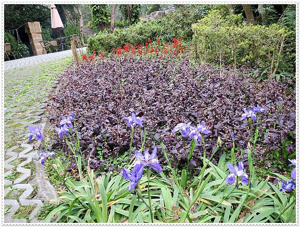 納美花園,陽明山,無菜單料理,蔬食料理,素菜