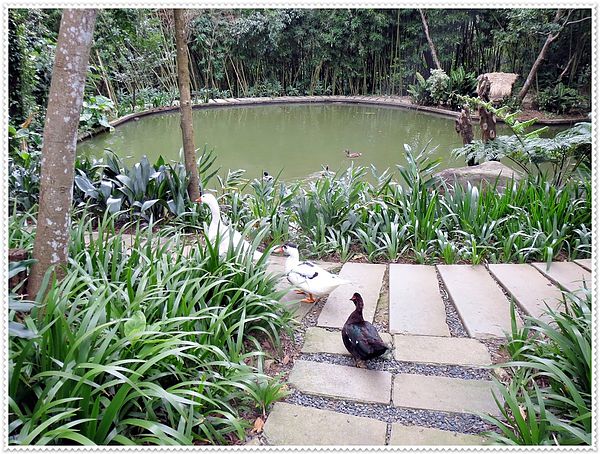 納美花園,陽明山,無菜單料理,蔬食料理,素菜