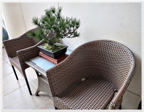 納美花園,陽明山,無菜單料理,蔬食料理,素菜