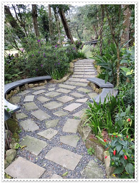 納美花園,陽明山,無菜單料理,蔬食料理,素菜