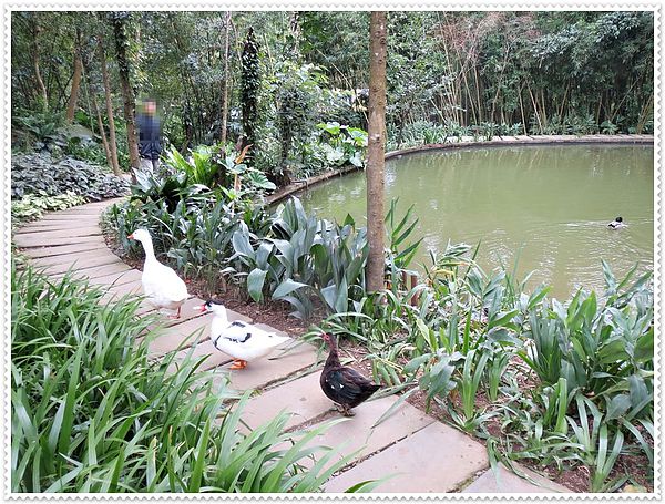 納美花園,陽明山,無菜單料理,蔬食料理,素菜