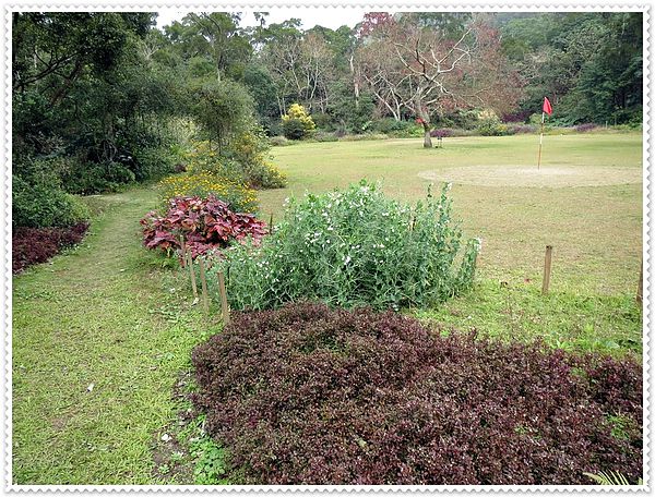 納美花園,陽明山,無菜單料理,蔬食料理,素菜