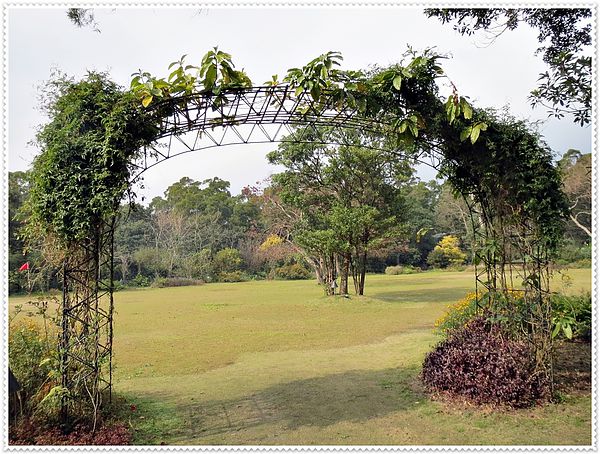 納美花園,陽明山,無菜單料理,蔬食料理,素菜