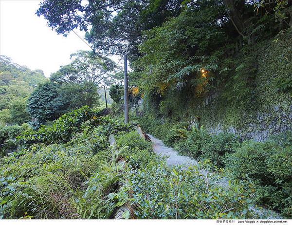 19號咖啡館:【台北 Taipei】隱身在森林綠意 陽明山菁山街19號咖啡館Yangmingshan