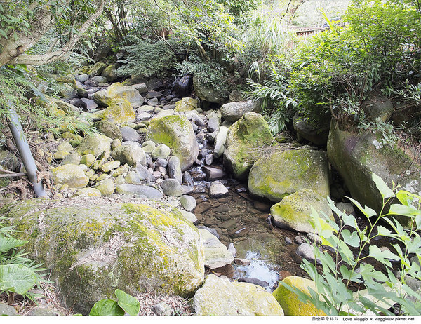 19號咖啡館:【台北 Taipei】隱身在森林綠意 陽明山菁山街19號咖啡館Yangmingshan