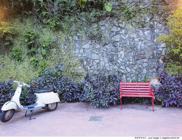 19號咖啡館:【台北 Taipei】隱身在森林綠意 陽明山菁山街19號咖啡館Yangmingshan