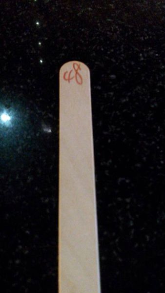 12243856_10204103581783441_704647509_n