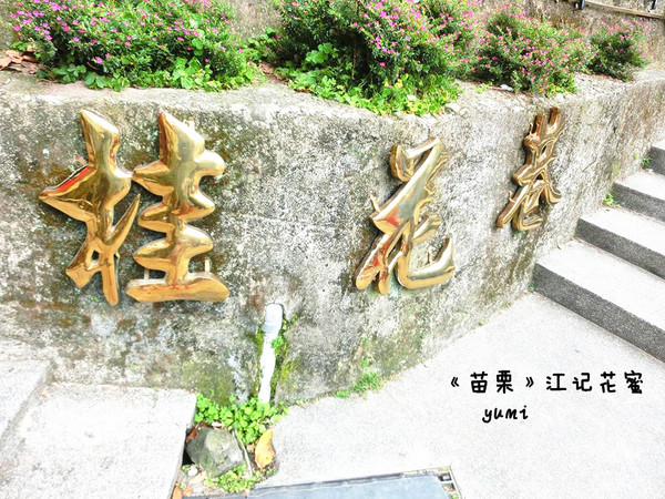 南庄江記花蜜:【苗栗食記】甜蜜蜜卻又不甜膩的桂花冰鎮湯圓@桂花巷花茶冰鎮湯圓