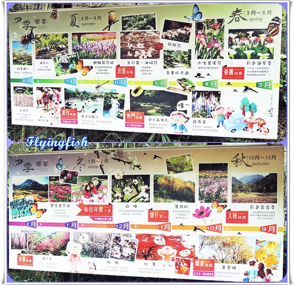 桃源仙谷：✜ 不用出國就能滿足看鬰金香花海滴願望－「桃源仙谷」(^o^)/