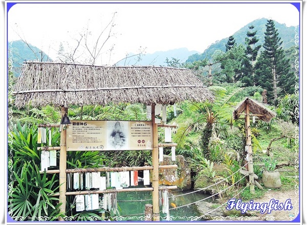 桃源仙谷：✜ 不用出國就能滿足看鬰金香花海滴願望－「桃源仙谷」(^o^)/