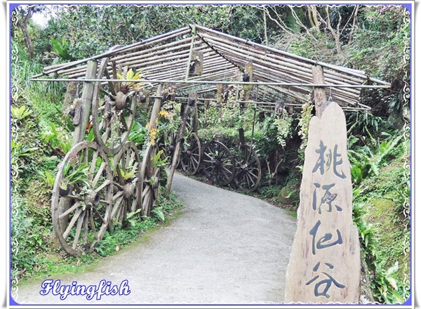 桃源仙谷：✜ 不用出國就能滿足看鬰金香花海滴願望－「桃源仙谷」(^o^)/