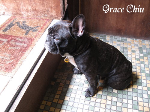 cafe515:Cafe 515 / 咖啡515~ 美味又暖胃的瑞典傳統魚湯&清爽優格餐