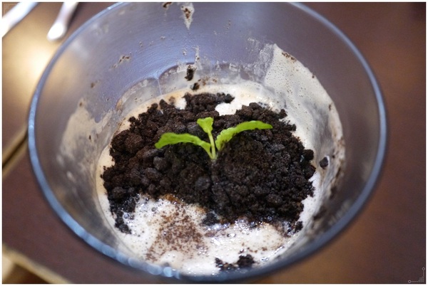 182巷鬆餅廚房：板橋也有盆栽奶茶？連男友都喜愛的好吃鬆餅在《182巷鬆餅廚房 》