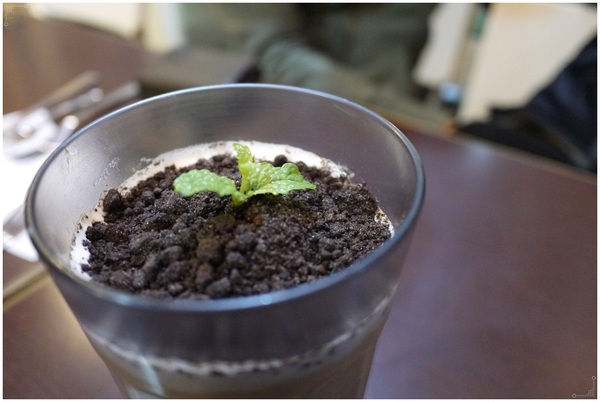 182巷鬆餅廚房：板橋也有盆栽奶茶？連男友都喜愛的好吃鬆餅在《182巷鬆餅廚房 》