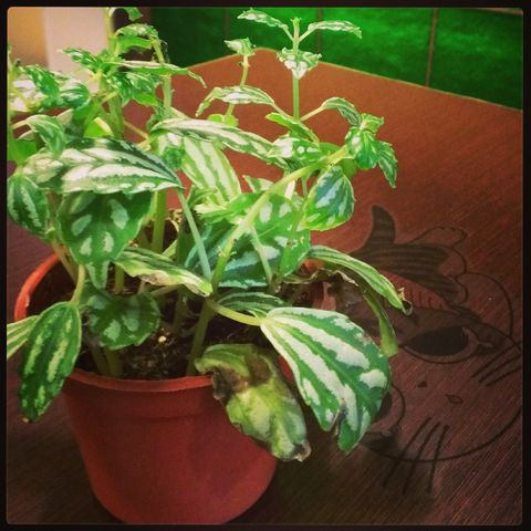 IMG_20140222_143423 [640x480]