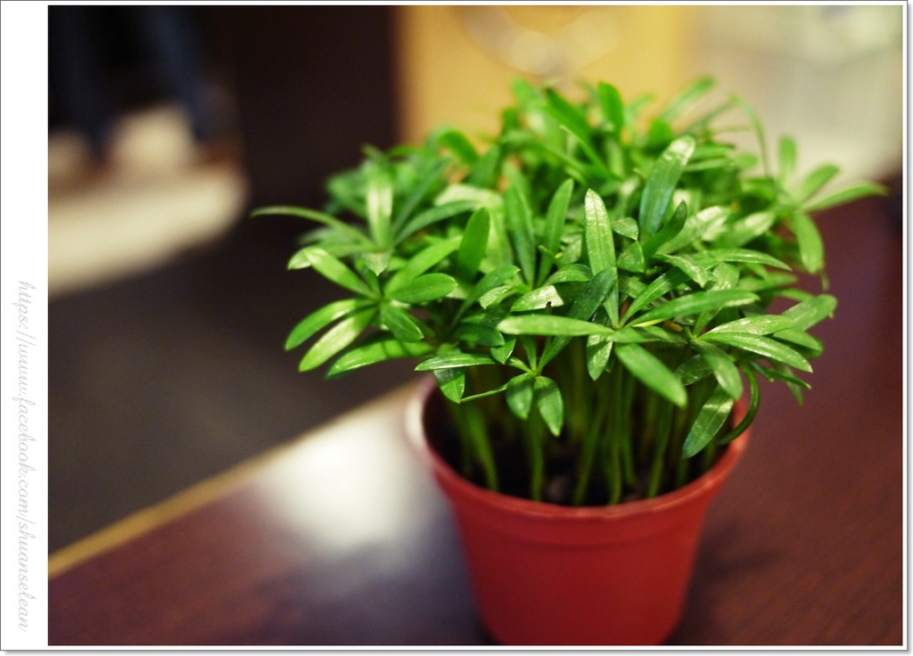 182巷鬆餅 207.jpg