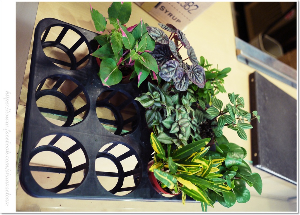 182巷鬆餅 210.jpg