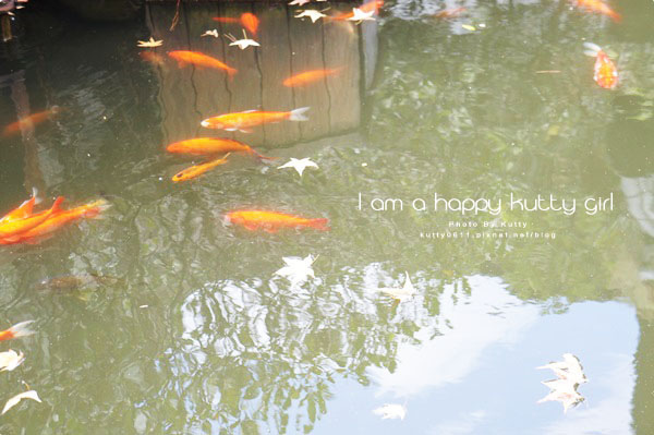 2014-9-14逸馨園 (5).jpg