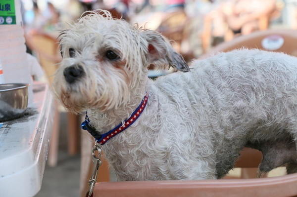 cgmd14b92705c63a3e587f6063a4b88c0c7646