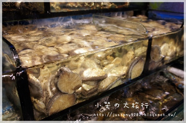 海釣族海鮮小館：[新北市。板橋區] 生猛活海鮮，大夥快揪團辦桌吧!!!