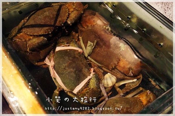 海釣族海鮮小館：[新北市。板橋區] 生猛活海鮮，大夥快揪團辦桌吧!!!