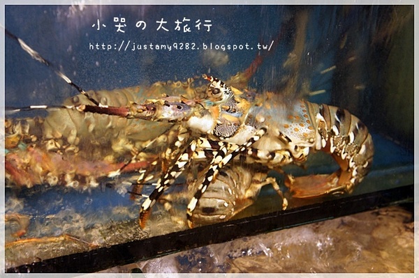 海釣族海鮮小館：[新北市。板橋區] 生猛活海鮮，大夥快揪團辦桌吧!!!