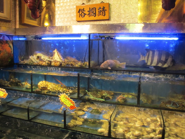 海釣族海鮮小館:(食記)新北市板橋區文化路海釣族。中國復古風貴氣逼人。海鮮料理美味新鮮。