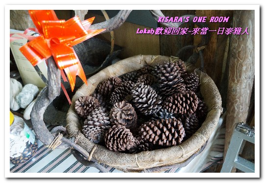 烏來瀑布：新北悠遊趣．烏來旅遊／泰雅原住民部落文化之旅──Lokah歡迎回家.1烏來瀑布