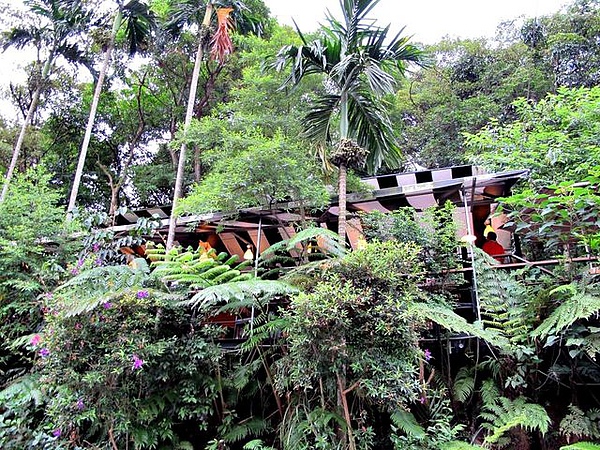 IMG_3888 [640x480].JPG