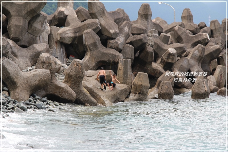 粉鳥林魚港21.JPG