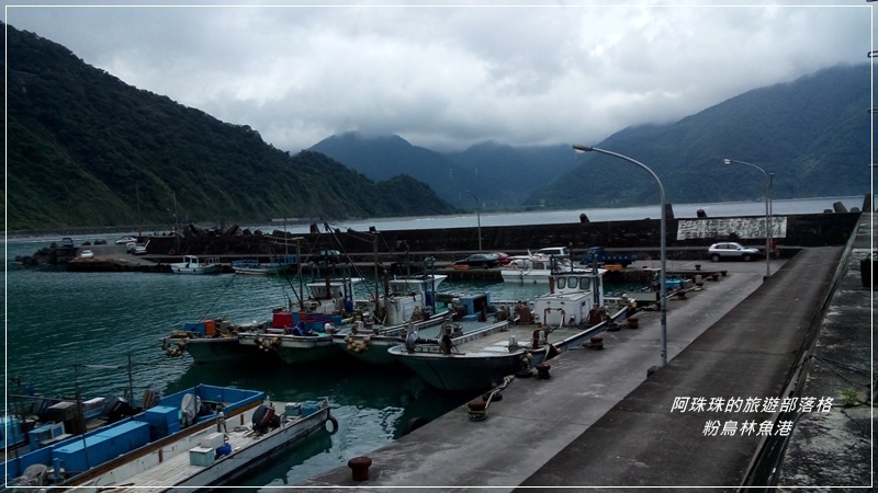 粉鳥林魚港13.jpg