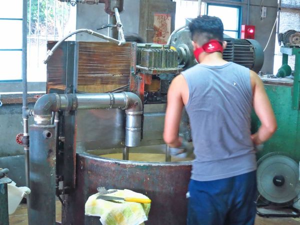 【台北旅遊】三峽茶山房手工肥皂觀光工廠-認識肥皂與DIY活動