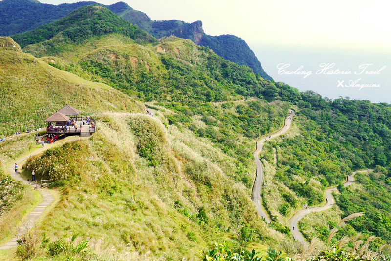 廖西瓜@2014東北角草嶺古道芒花季36