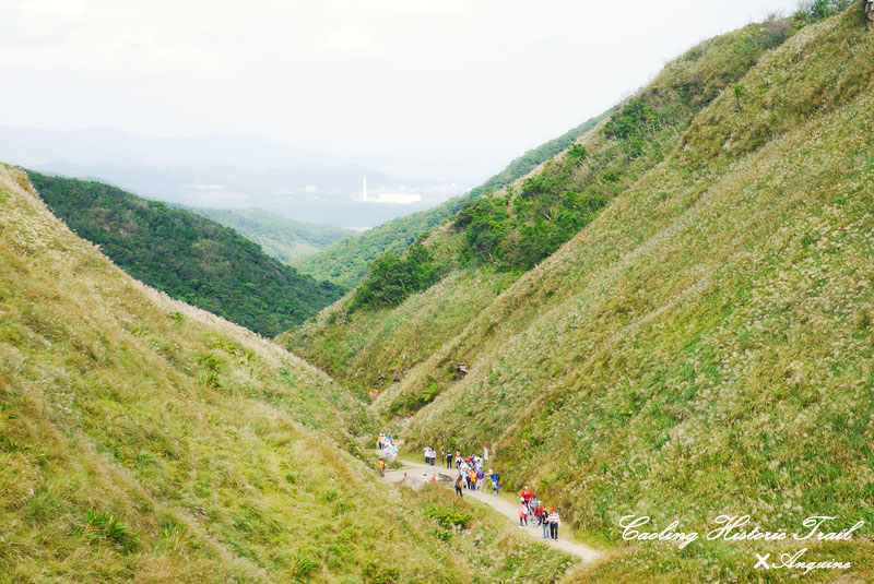 廖西瓜@2014東北角草嶺古道芒花季23