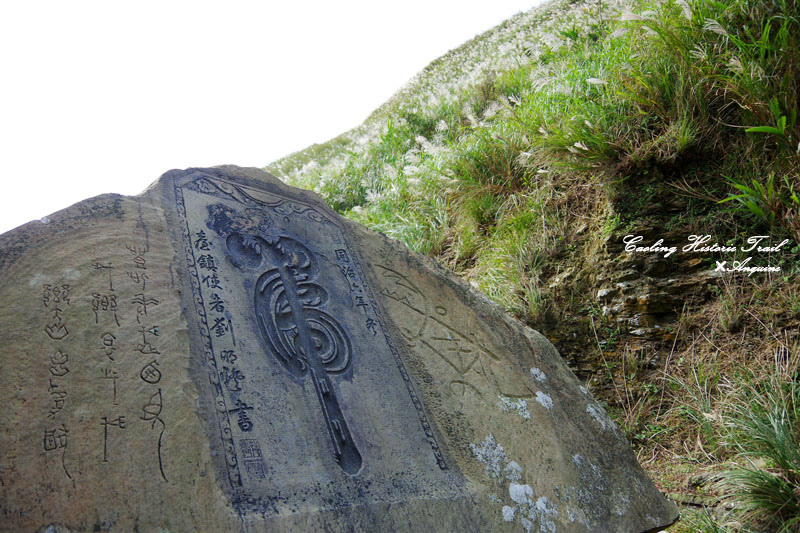 廖西瓜@2014東北角草嶺古道芒花季14