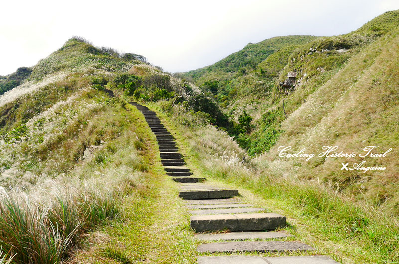 廖西瓜@2014東北角草嶺古道芒花季35