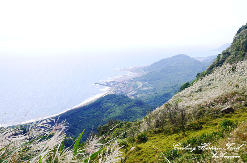 廖西瓜@2014東北角草嶺古道芒花季32