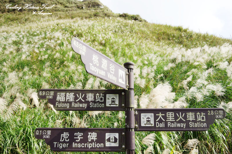 廖西瓜@2014東北角草嶺古道芒花季21